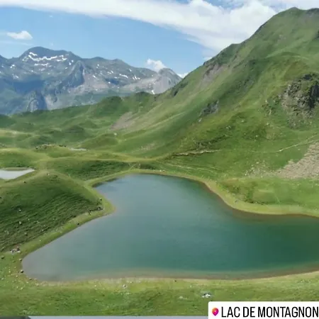 Ossau T2 5 Personnes Tt Confort Proximite Du Navette Au Village Climatisation Piscine Juin A Fin Septembre Linge De Maison Inclus Au Pied De La Montagne Parking