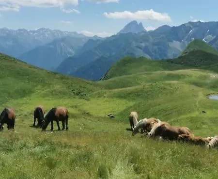 Ossau T2 5 Personnes Tt Confort Proximite Du Navette Au Village Climatisation Piscine Juin A Fin Septembre Linge De Maison Inclus Au Pied De La Montagne Parking Bielle