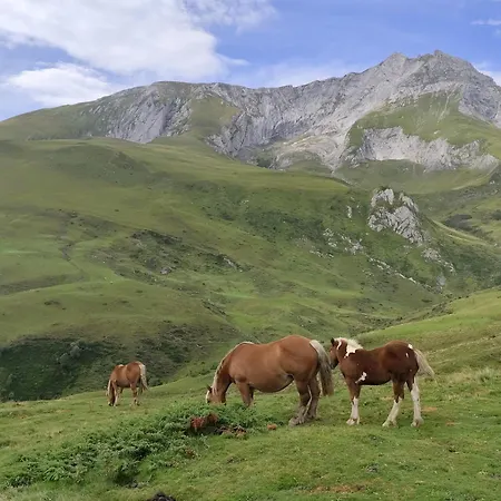 Διαμέρισμα Ossau T2 5 Personnes Tt Confort Climatisation Piscine Linge De Maison Inclus Moustiquaires Vue Montagne Plein Sud