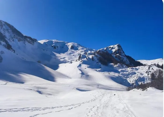 Ossau T2 5 Personnes 1 Draps Serviettes Inclus Parking Moustiquaires Confort Près Du
